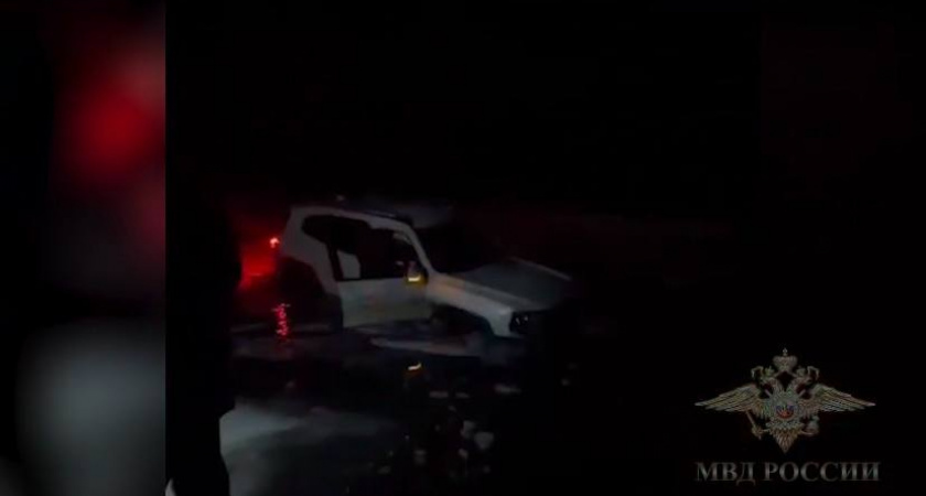    Фото: скриншот из видео тг-канал Ирины Волк