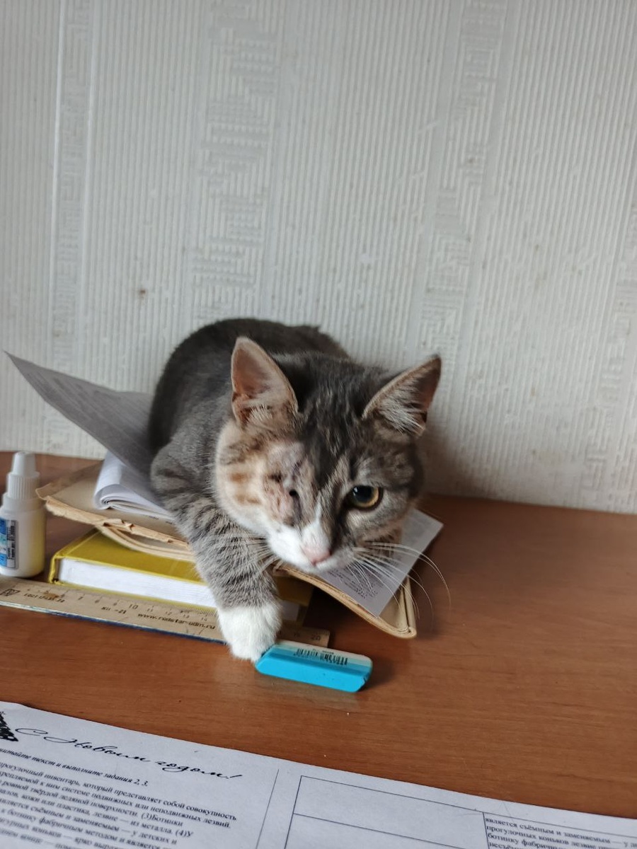 Любительница книг) 