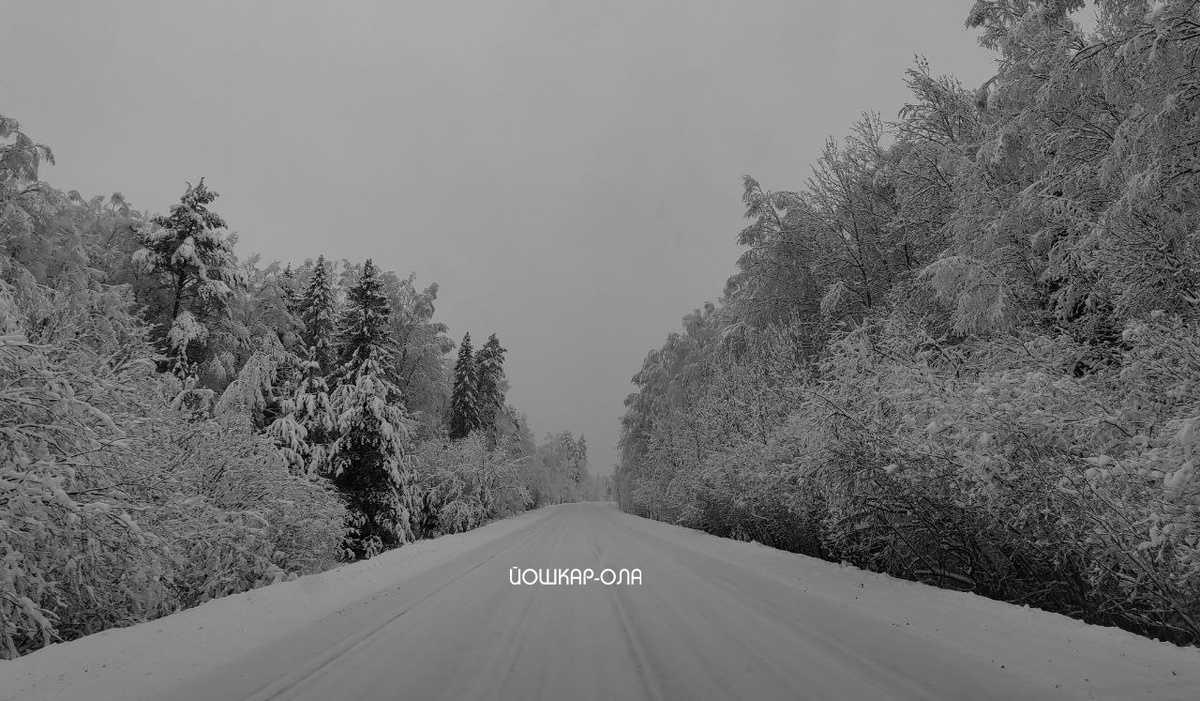 Фото Яны Албахтиной