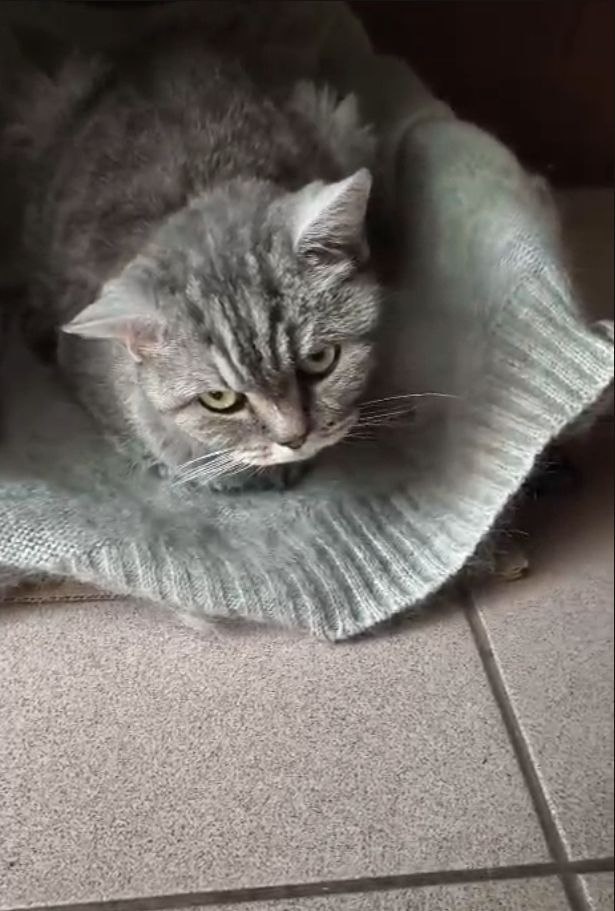 Спасибо каждому из вас, кто помогал, переживал, поддерживал.