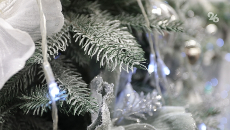      Фото: ИА «Победа26»