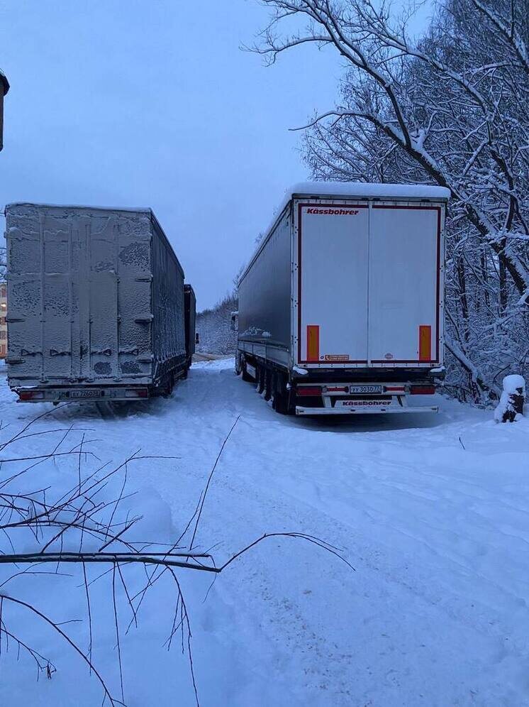   Елена Полякова