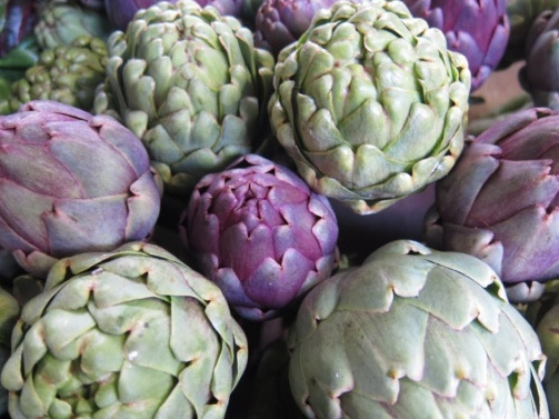 Вся правда об артишоках. Посадка и уход