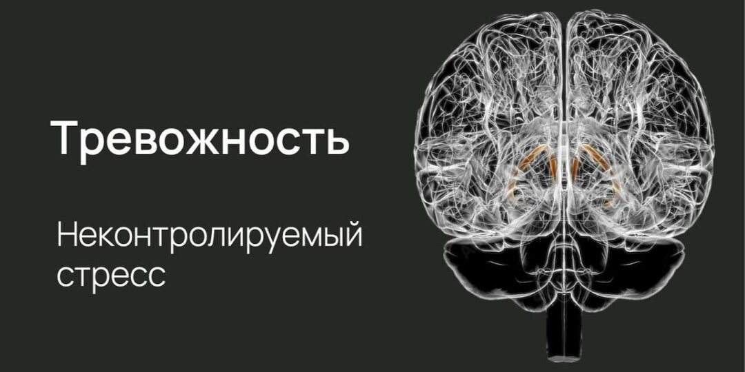 🧠 Шкала депрессии Гамильтона (Hamilton Depression Rating Scale