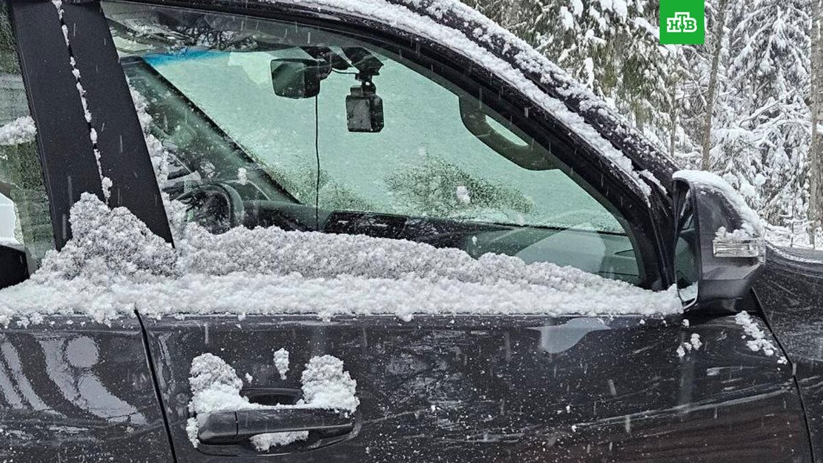    Фото: @sledcom47 / t.me