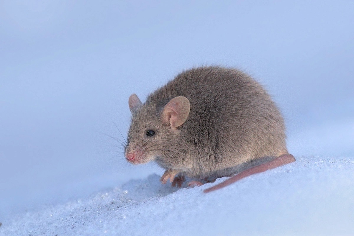 Фото с сайта: https://www.rbc.ru/life/news/689f4c7a9a7947c73fbe6b04
