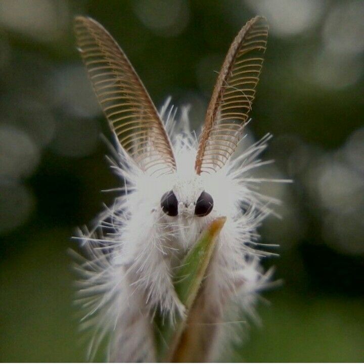 Изображение прикреплено по ссылке из яндекс картинок https://i.pinimg.com/736x/21/72/e4/2172e455c6a6b5abe97c2f547b6db74a.jpg