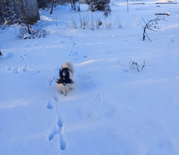 Землевладелец. Тут есть что отметить