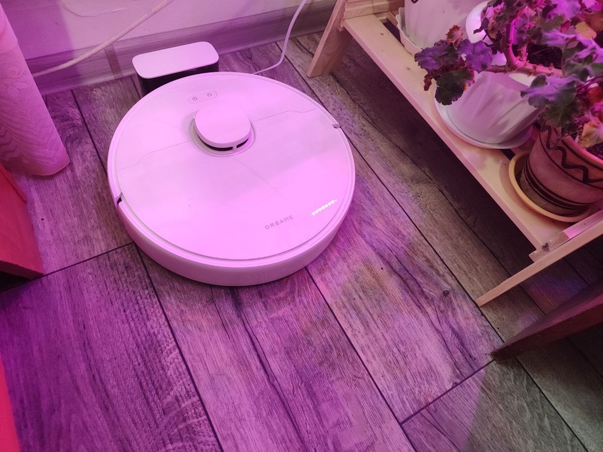 новый помощник в доме