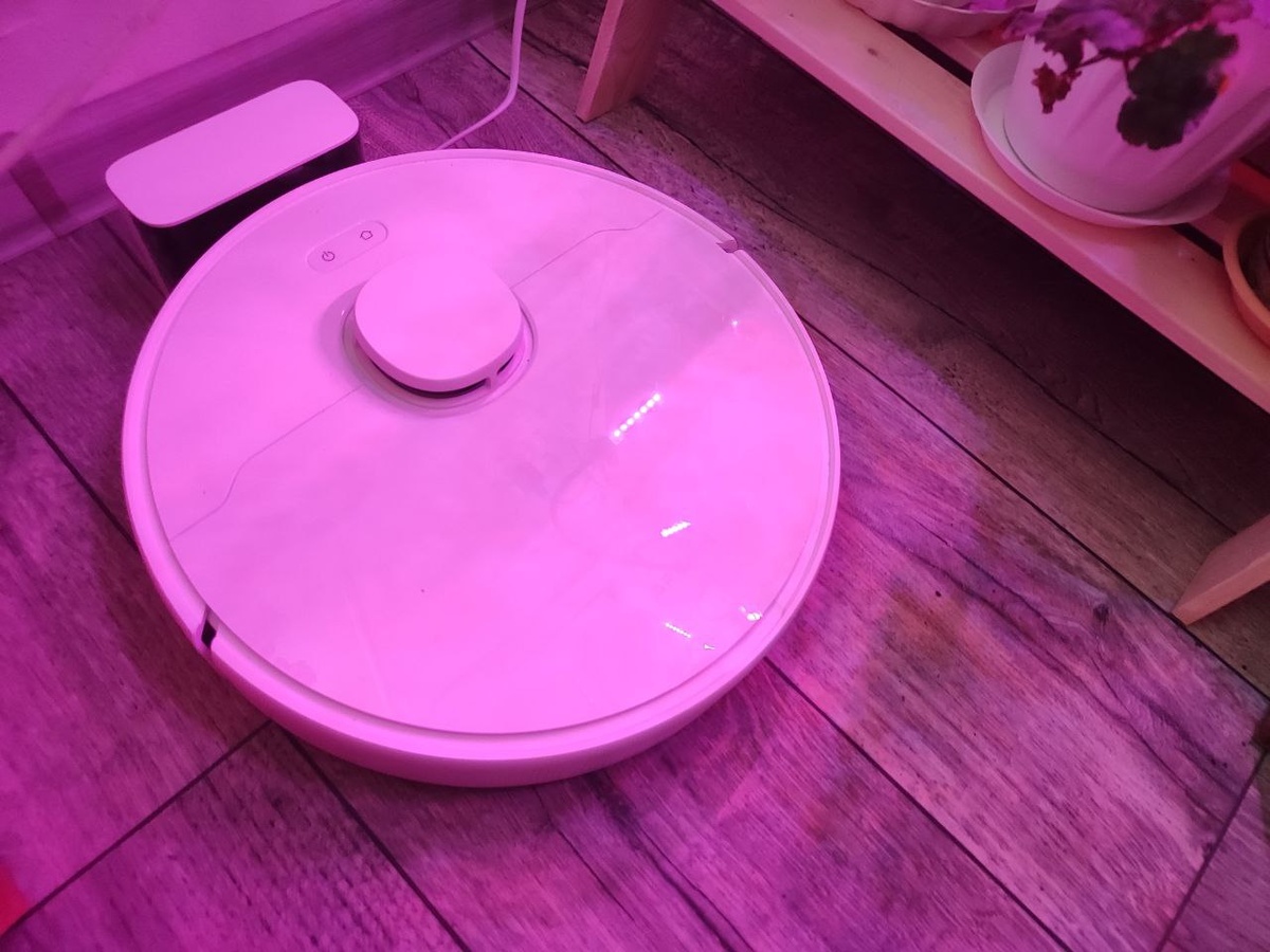 стоит возле цветов и даже убирается под этим стеллажом 