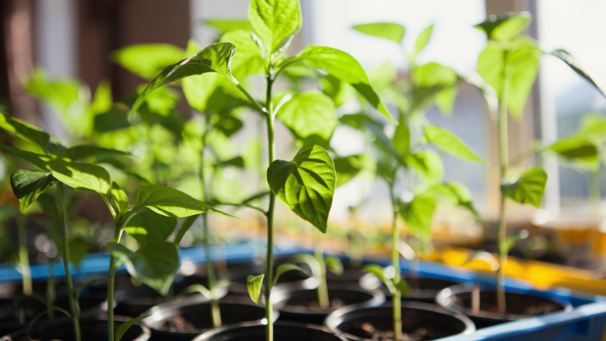 Прежний расточительный подход