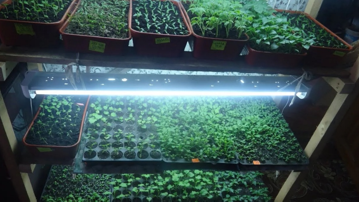 Трехъярусная система - каждый уровень выполняет свою функцию