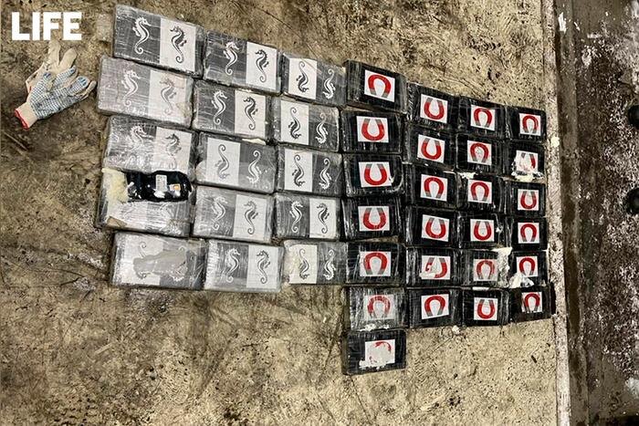 Таможенники пресекли попытку ввезти в Россию крупную партию кокаина, спрятанную в контейнере. Обложка © Life.ru