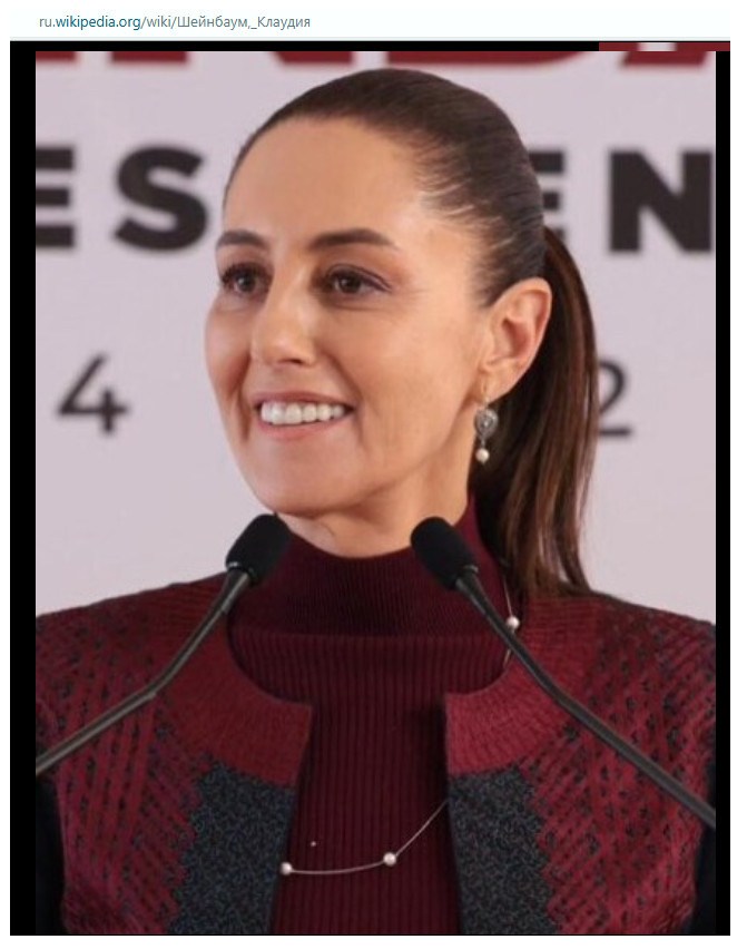    Скриншот: Wikipedia