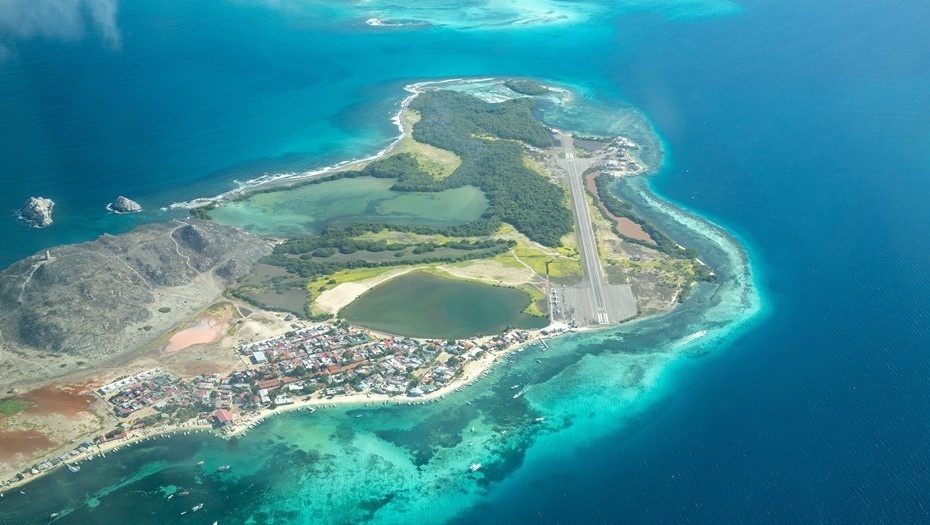    Автор фото: Wirestock Creators/Shutterstock/FOTODOM