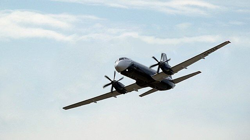     Kirill Borisenko/Wikimedia Commons