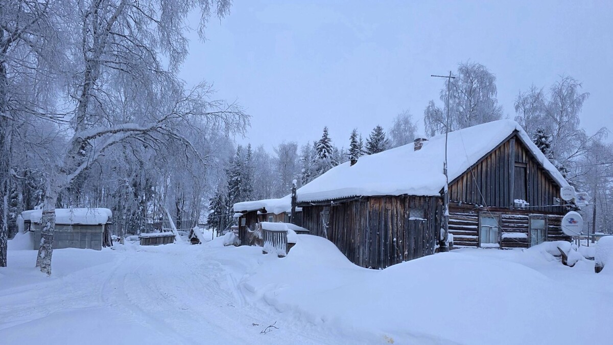    Фото: https://t.me/sakal89