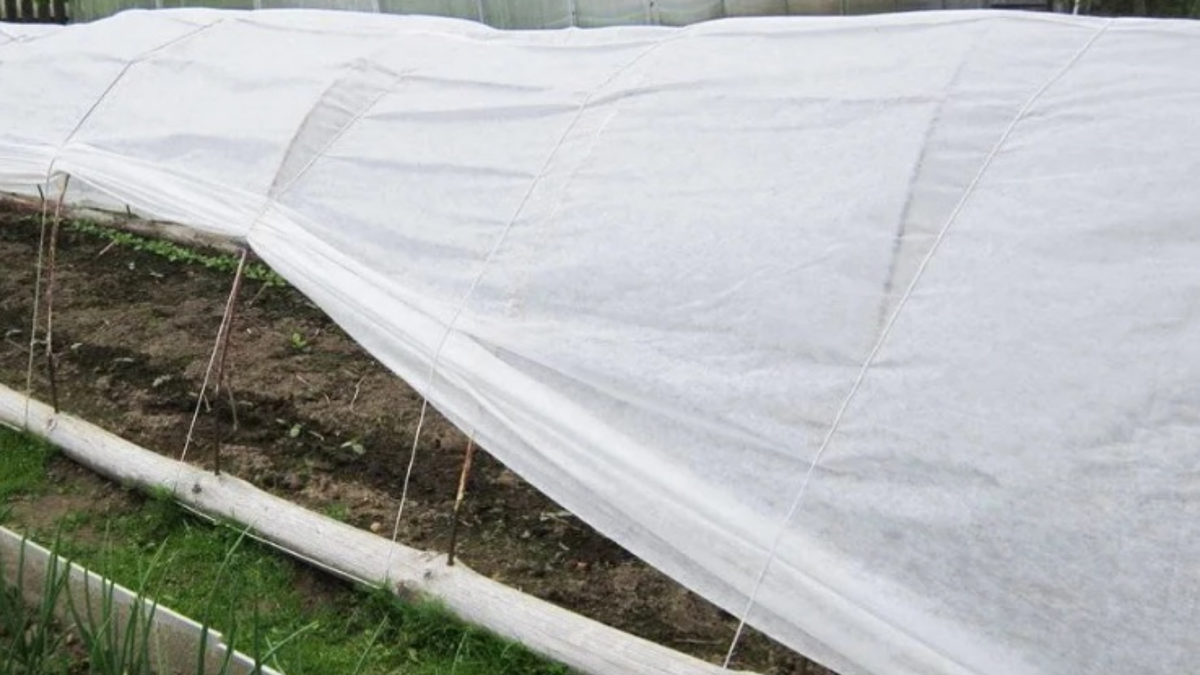 Правильная конструкция пленочного укрытия для ранних томатов
