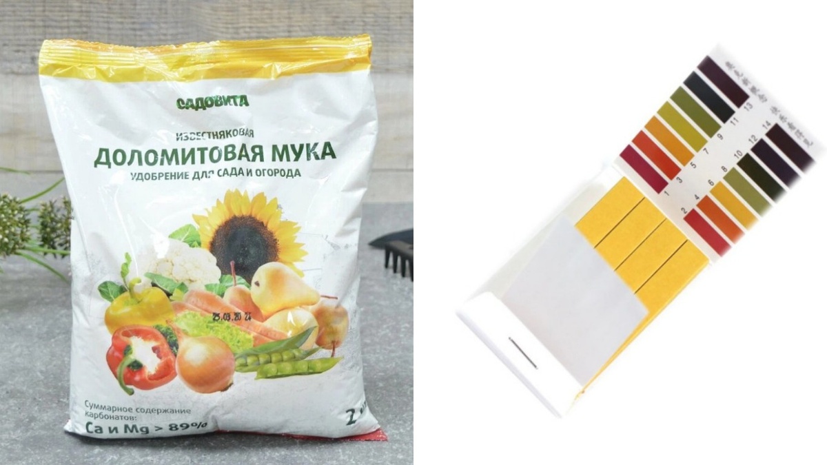  Простые инструменты для контроля pH почвы