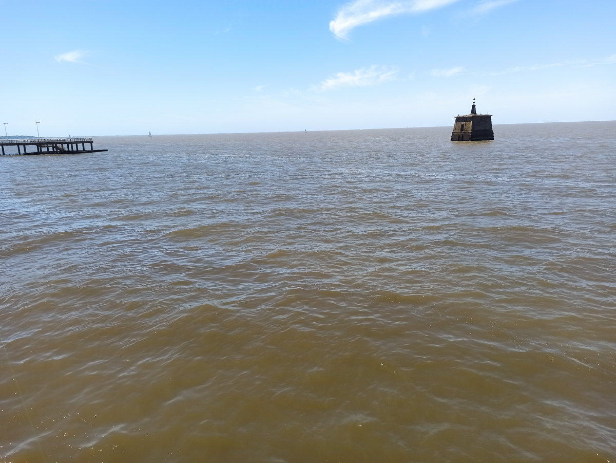 вот такая вода в Буэнос Айрес  (листайте галерею)