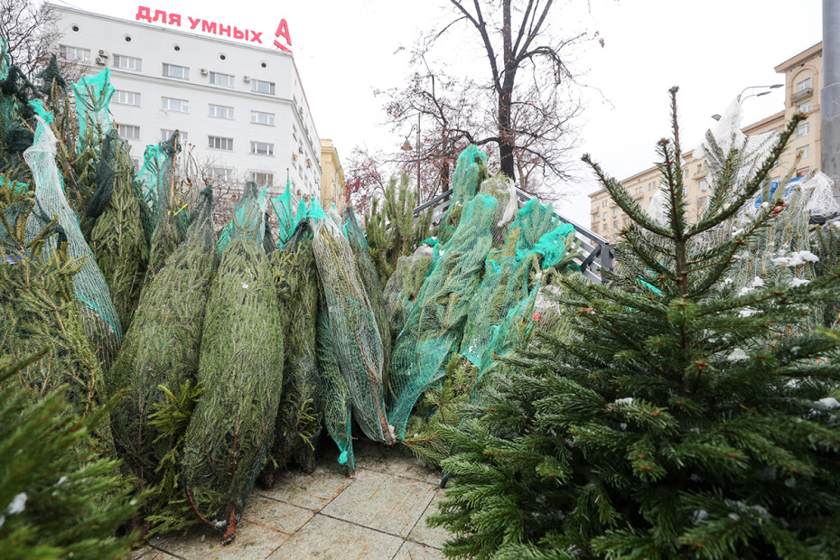    Сергей Булкин/NEWS.ru