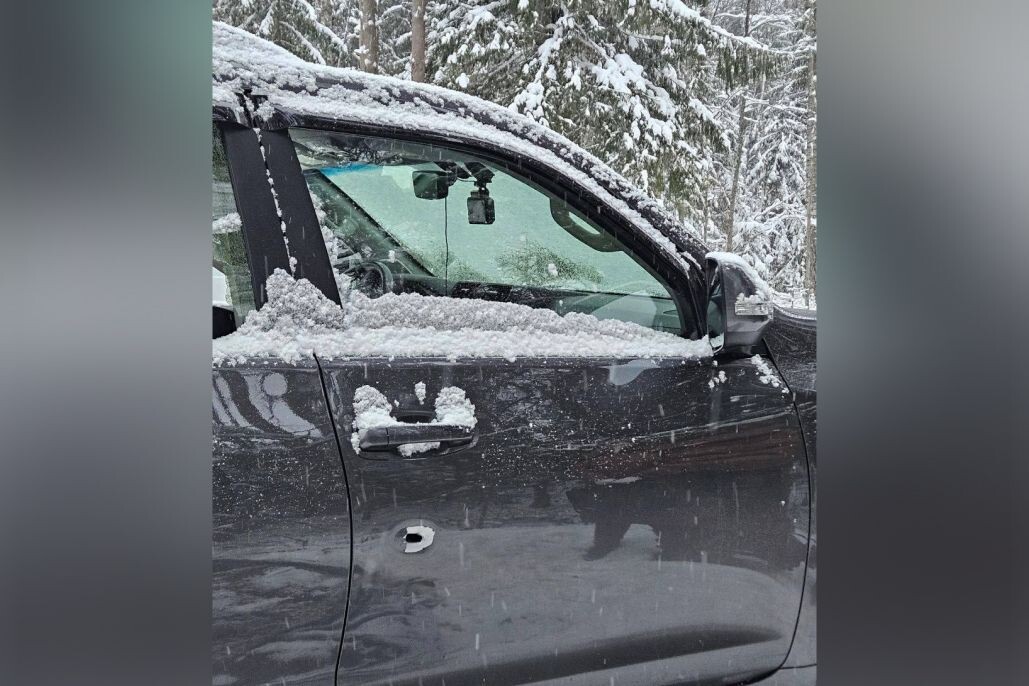     / Источник: © СУ СК России по Ленинградской области