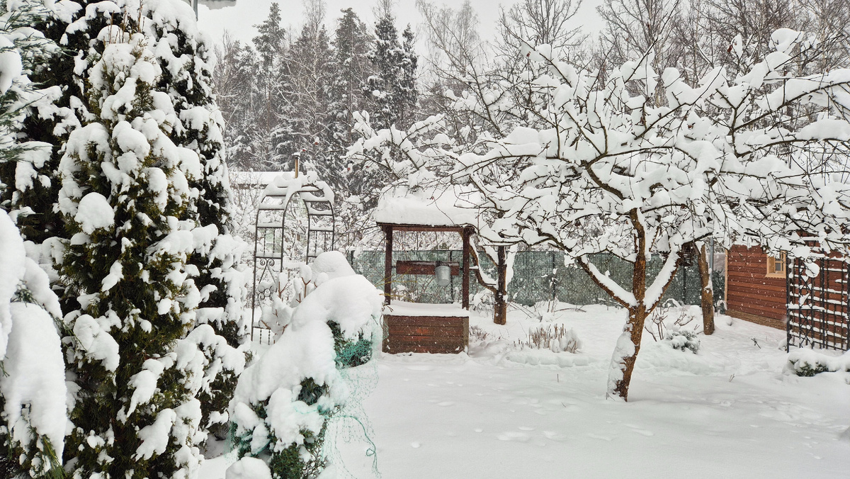 На даче в январе