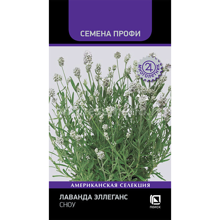 Фото из интерета, питомник Поиск.