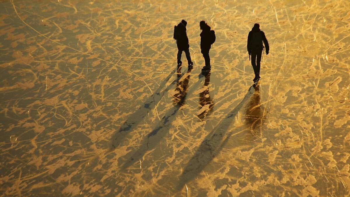    Фото: Сергей Ведяшкин / АГН Москва