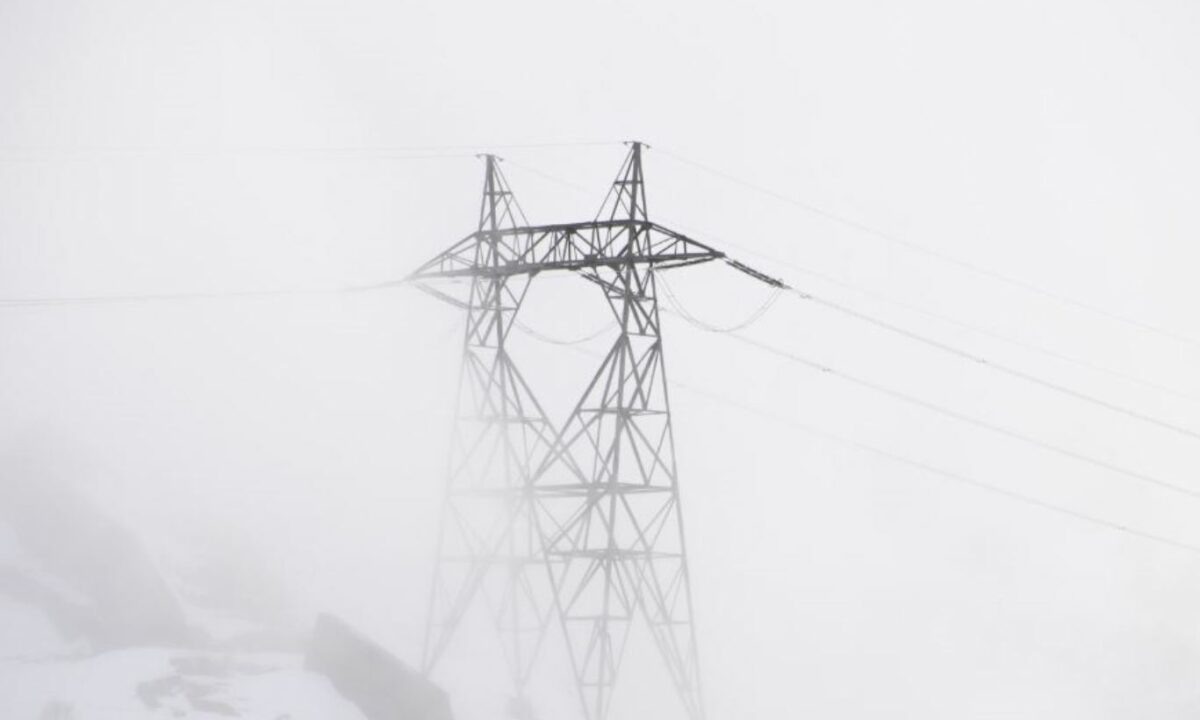    Фото freepik.com