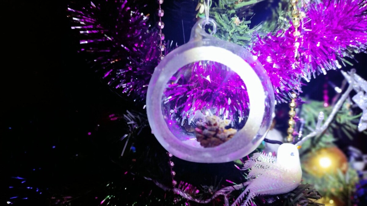    Как колядуют на Святки в Ростовской области в наши дни   1MI