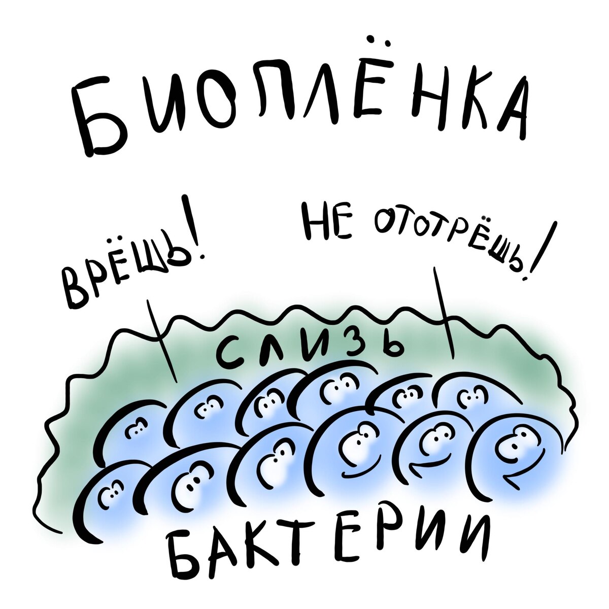 биопленка