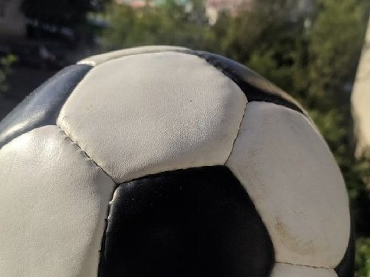     Фото: МК в Вологде.