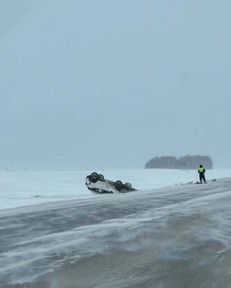   Авария в Калманском районе. Источник: "Инцидент Рубцовск"