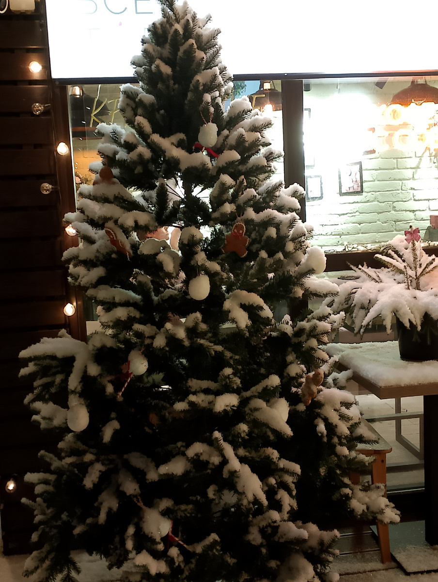 Фото автора.