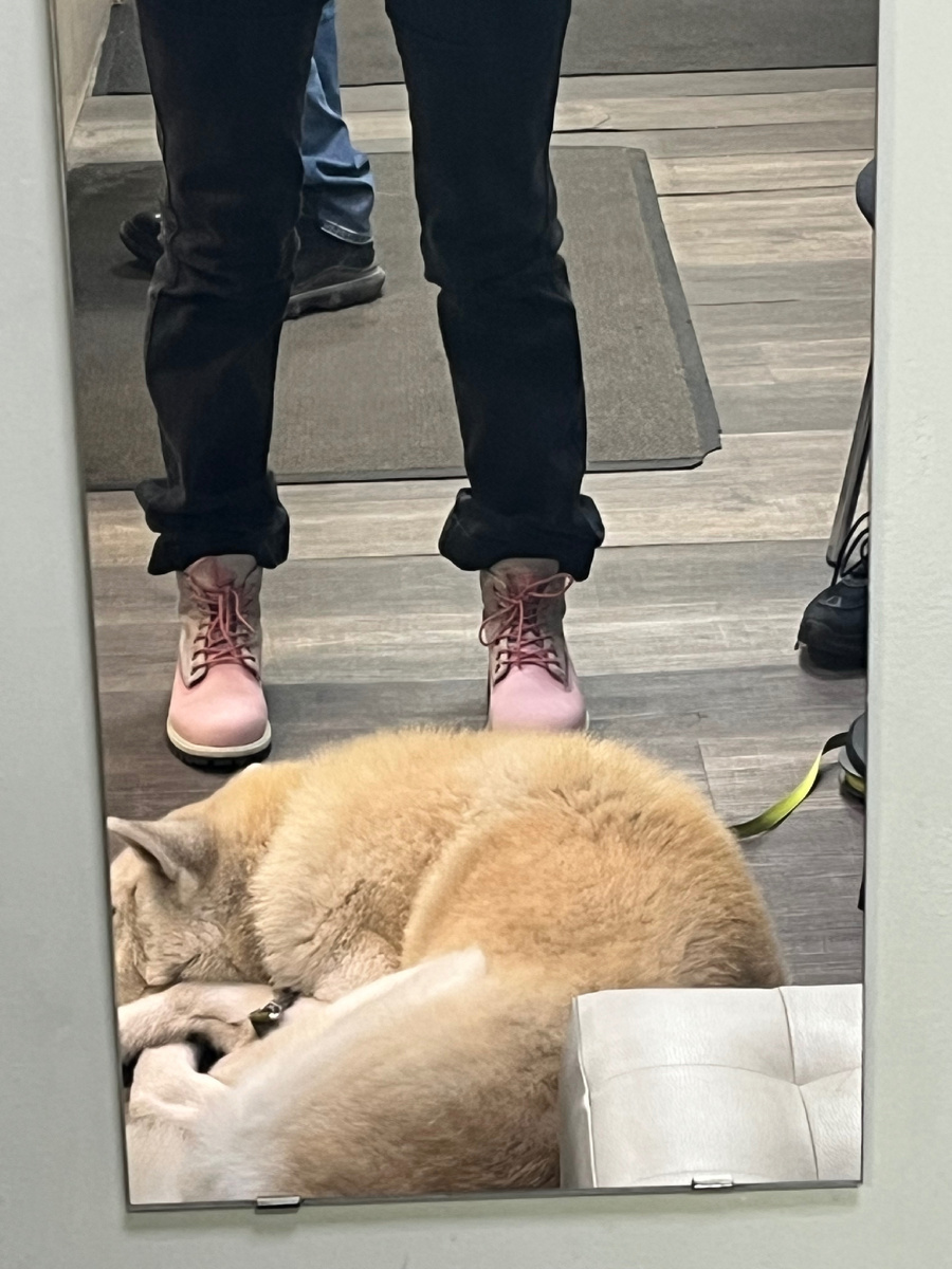 Я в пункте выдачи, тимбы осень/весна.