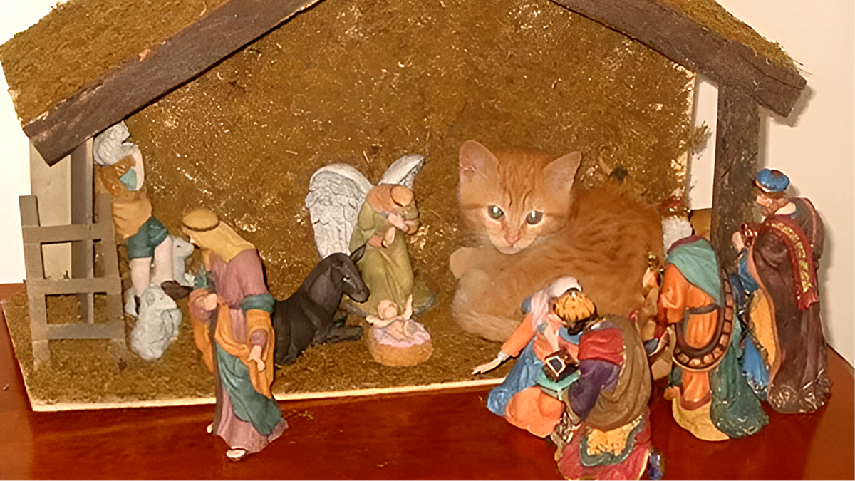 Ну, здравствуйте! Теперь я ваш новый Божий сын!