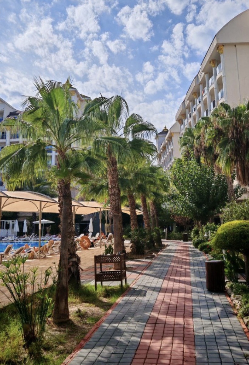 Фото из свободного источника интернет