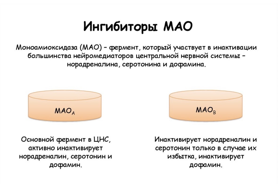 Ферменты мао-а слева 