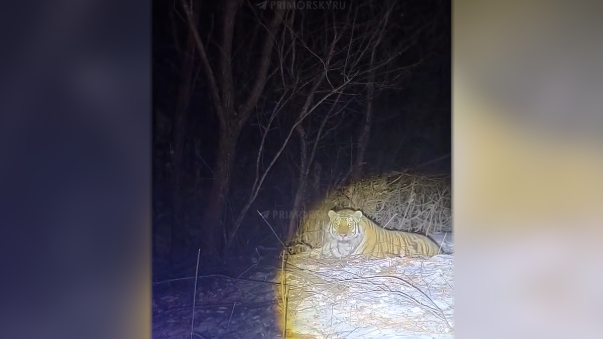    Первый канал