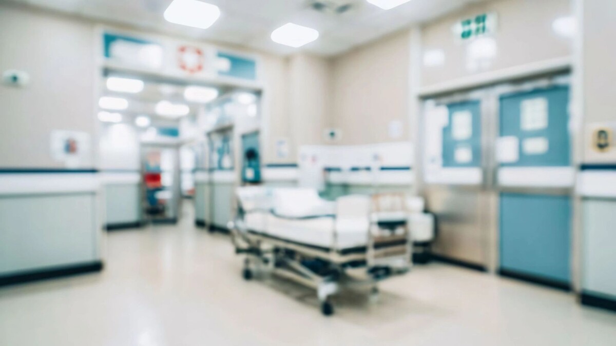    Фото: Irya kt/Shutterstock/Fotodom