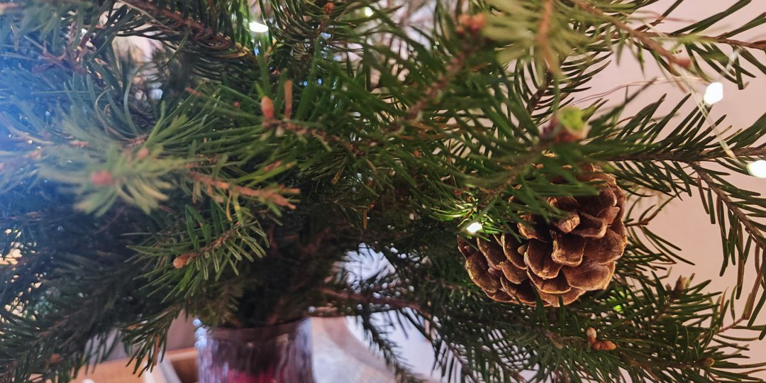 Муж-недотёпа. Глава 15.