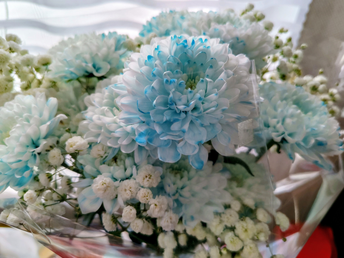 Личное фото автора канала