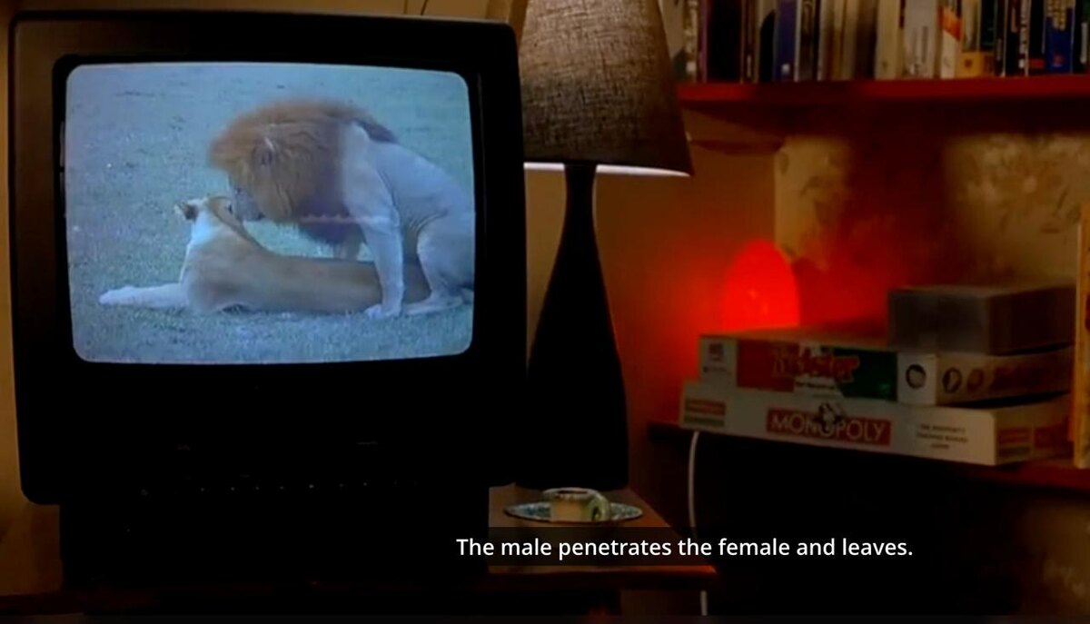 И у животных все то же самое