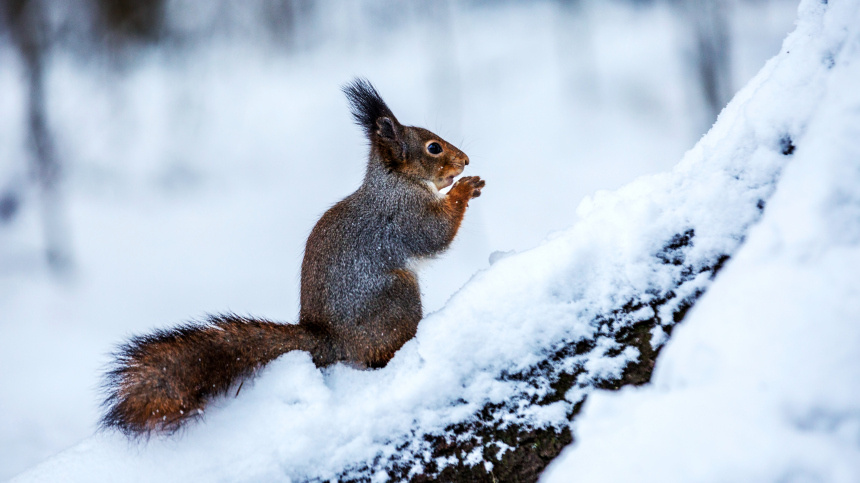    Фото: © РИА Новости/Илья Тимин
