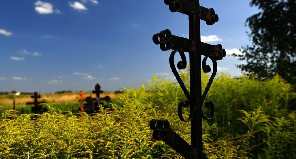    медиасток.рф