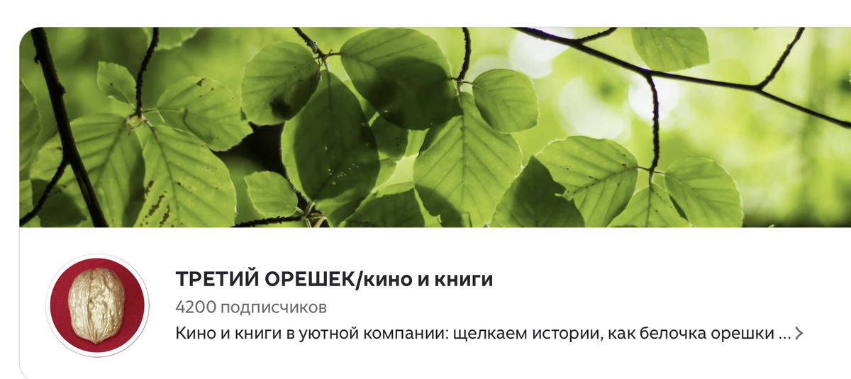 Скриншот страницы канала