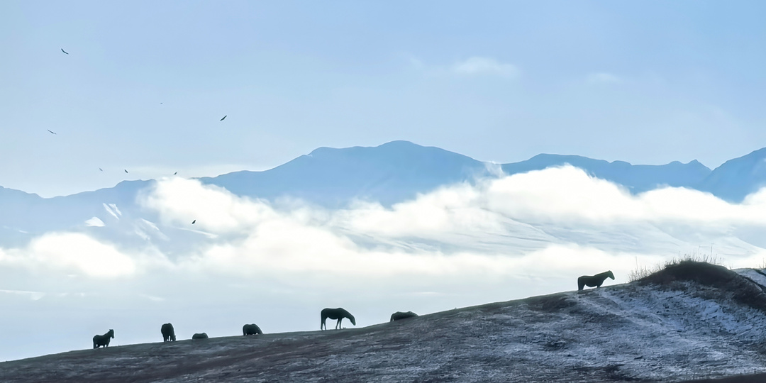 Путь в КЧР: придорожные виды, Белореченский водопад, Светкины пороги на Малой Лабе