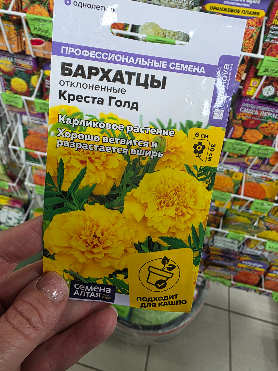 Это по просьбе доченьки покупка