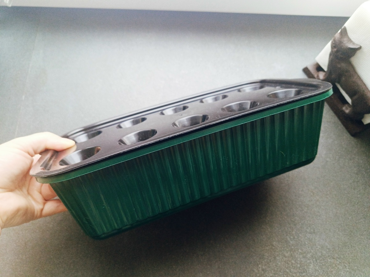 Лоток для выращиваниязелёного лука